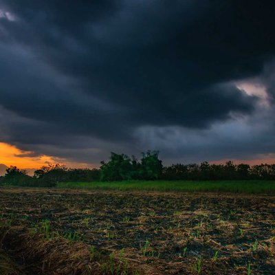 Black Sky