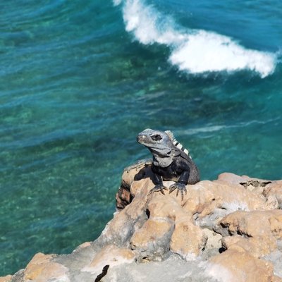 Punta Sur, Isla Mujeres 