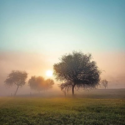 सुबह ओर सूर्योदय