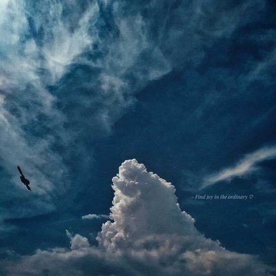 THE CLOUDS 🕊️