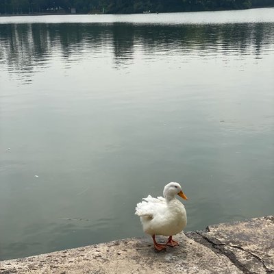 just chilling 