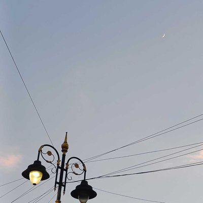 the lamp