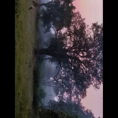 hazy morning 