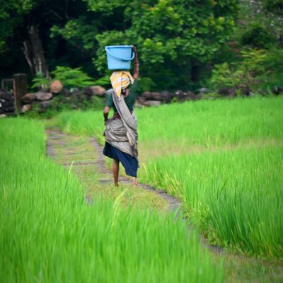 Village Life