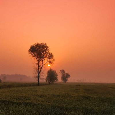 A beautiful sunrise 🌄