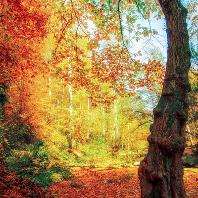 Mevsimin büyüsü başka 🍂🍁🧡