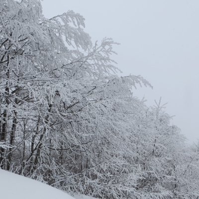 Kartepe, Kocaeli☃️