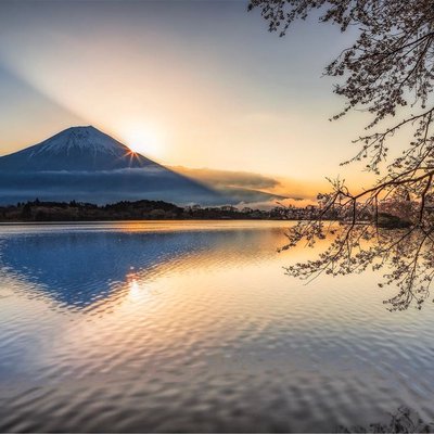 Sakura Framing of Mt Fuji at Tanuki Lake