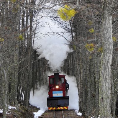 Tren del fin del mundo. Parque Nacional Tierra del Fuego.