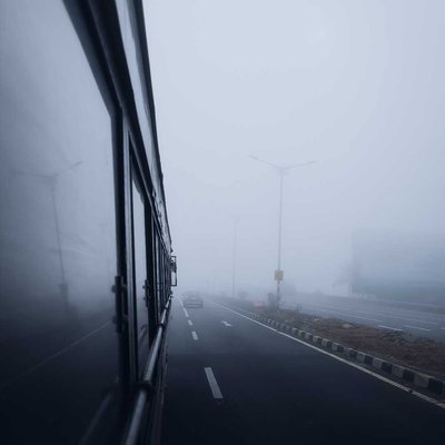 Foggy Morning's 