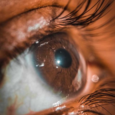 eyes 