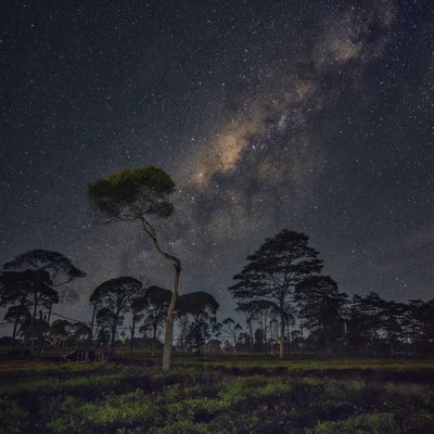 Milky Way