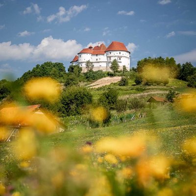 Veliki Tabor