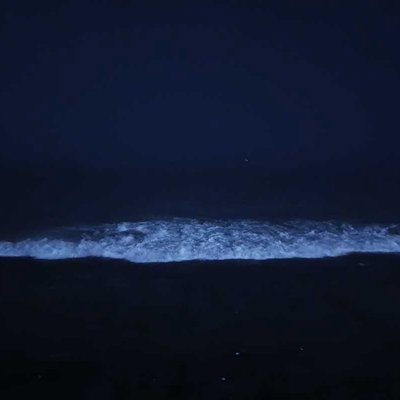 Night sea ⛵