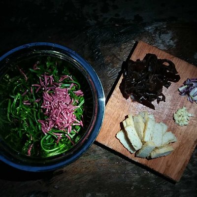 Jungle Delicacies 🌿