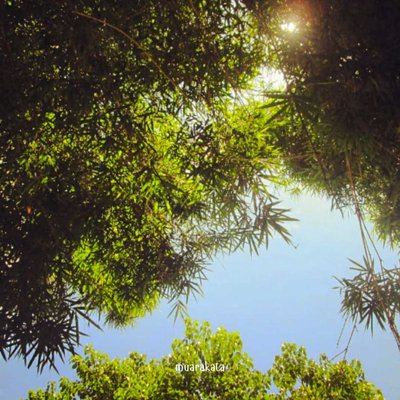 Langit Biru