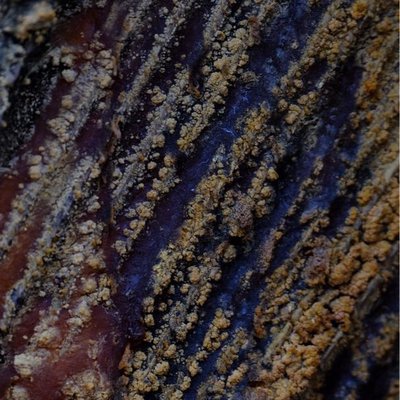 Resin🌲