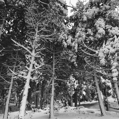 endless whiteness