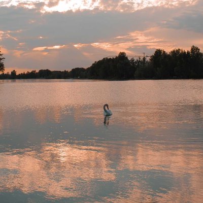 Zaprešić lake 🦢