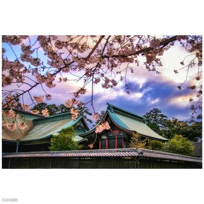 Ordinary Japan