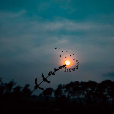 🦅 FREEDOM  🦅
