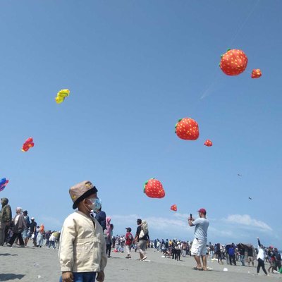 - Stowberry Kite -