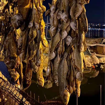 Dried fish 🎣 