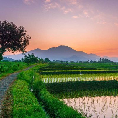 the natural beauty of the village in the morning