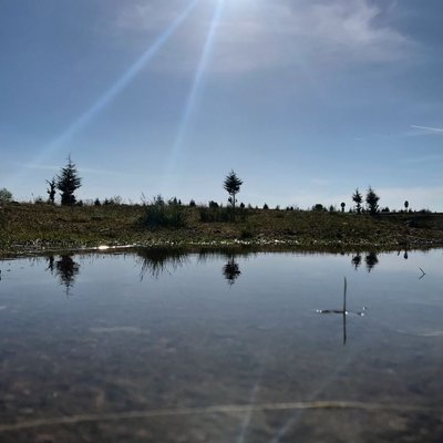 Reflection’ /x