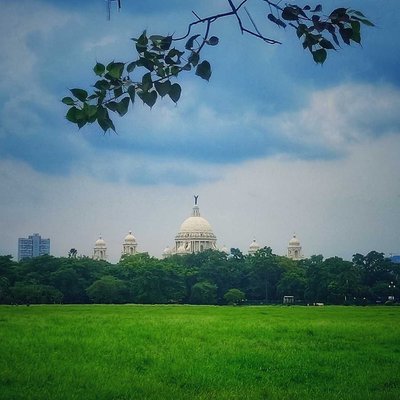Gorer math: Lungs of Kolkata🌻