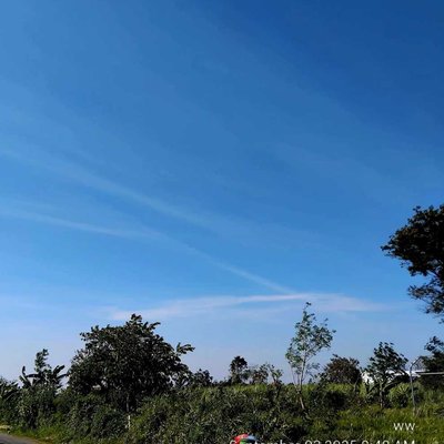 Langit pagi