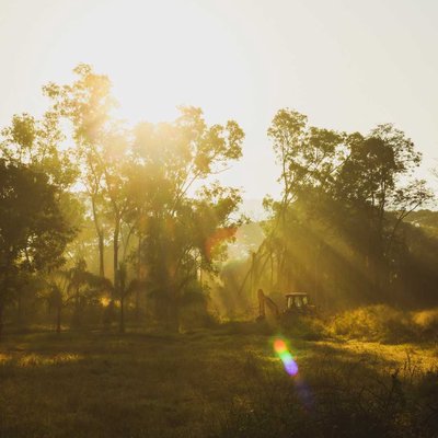 Perfect Winter mornings