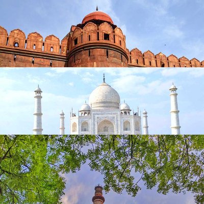Delhi Tri colour 