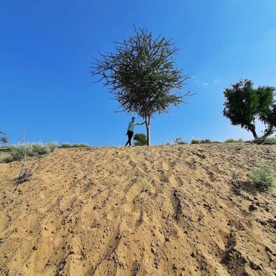 thar desert 