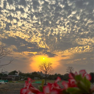 sunset 🧡💛