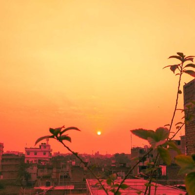 sunset