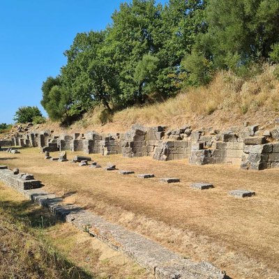 Apolonija