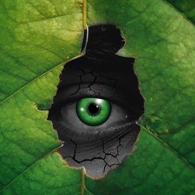 Photo manipulation