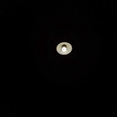 light in the Dark