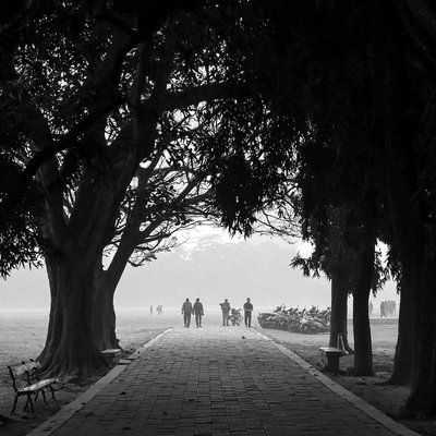 🌳 The Way of Nature 🌳