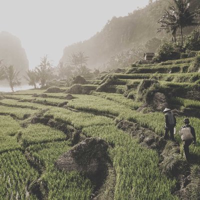 Pangasan Beach, Pacitan - East Java