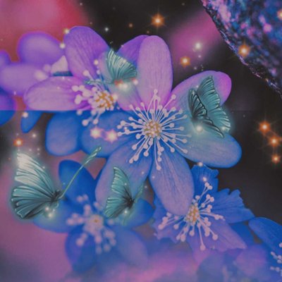 A flower edit 