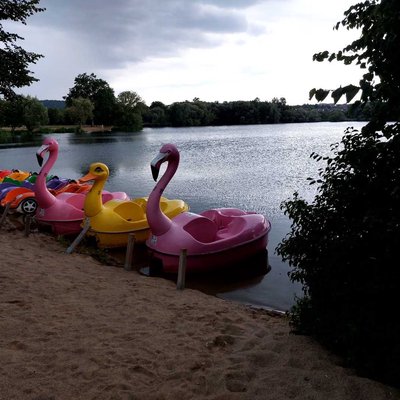 Ortswiesensee 🇩🇪 