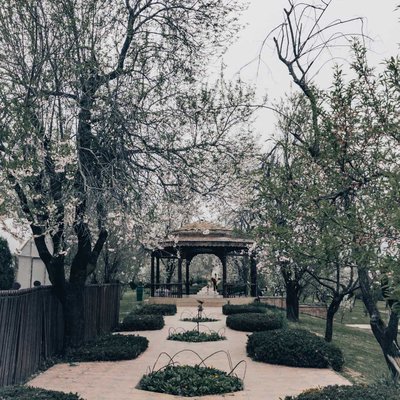 Spring in Kashmir 