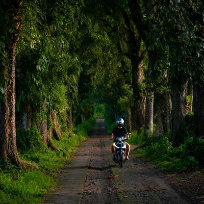 Lorong Mahoni 