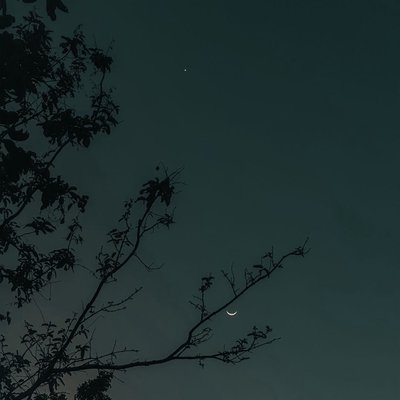 Gaze at the beautiful moon and watch the stars in the inky black sky for eternity😍  #shotoniphone #stars #moon