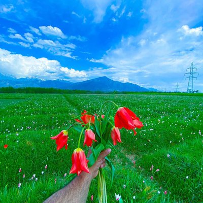 spring 🌱