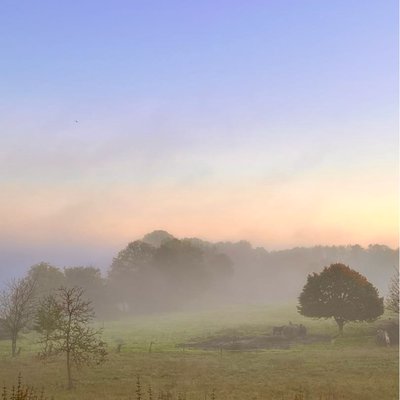 Foggy morning