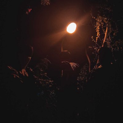 night photography 