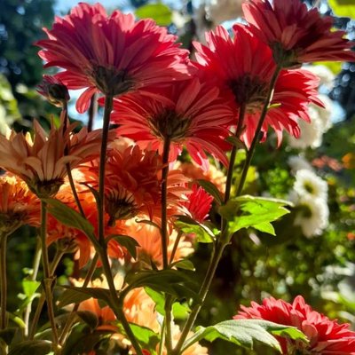 photography 🌷👀